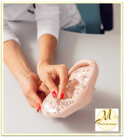 Séance de réflexologie auriculaire chinoise à Moustoir-Ac – démonstration sur modèle d’oreille avec Marie Bruneau.