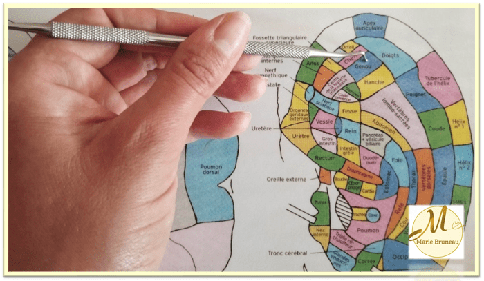 Réflexologie auriculaire chinoise à Moustoir-Ac – stimulation des points réflexes de l’oreille avec Marie Bruneau